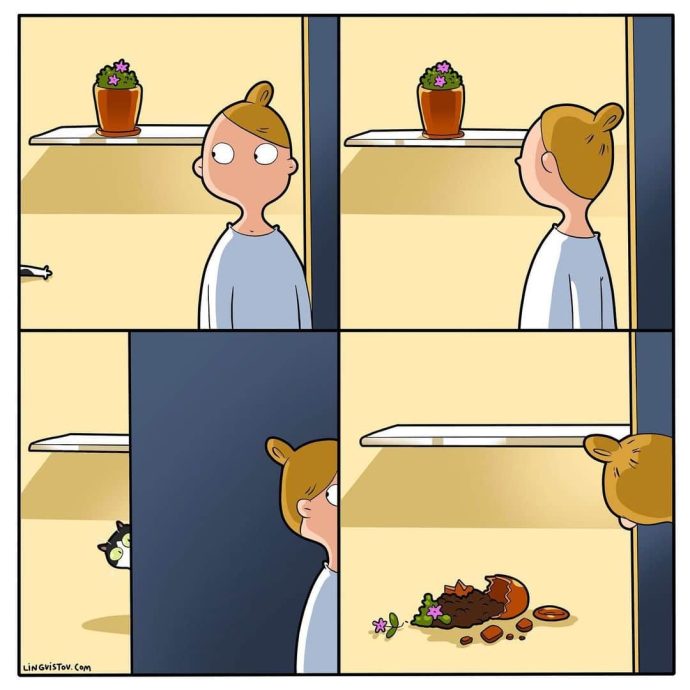 Каждый котовладелец поймет