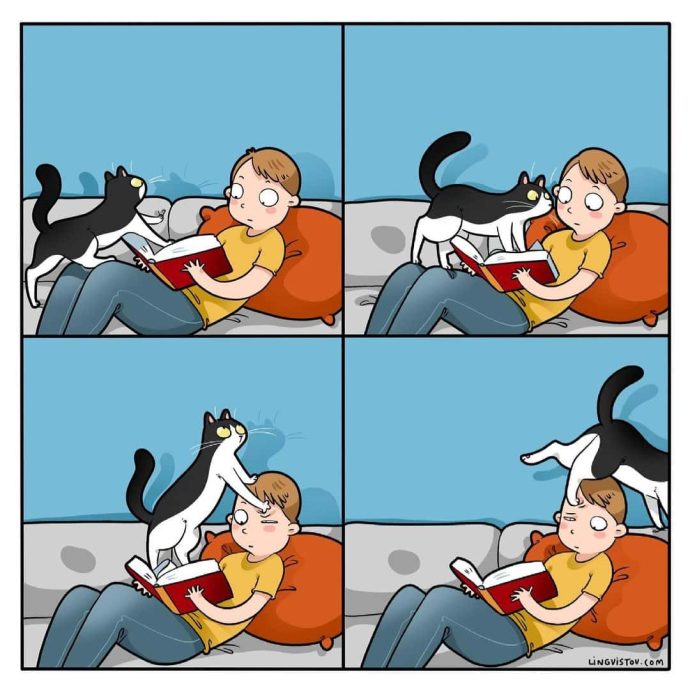 Каждый котовладелец поймет