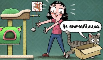 15 правил кошачьего кодекса
