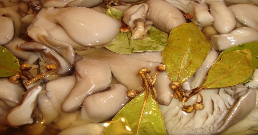 Пряные маринованные вешенки