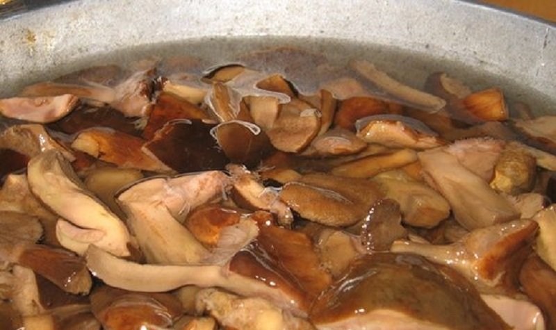 Какой водой заливать грибы сырые. Брусяны брусята соленые грибы фото. Грибы залить водой