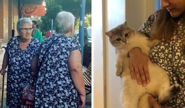 матрица проявила себя
