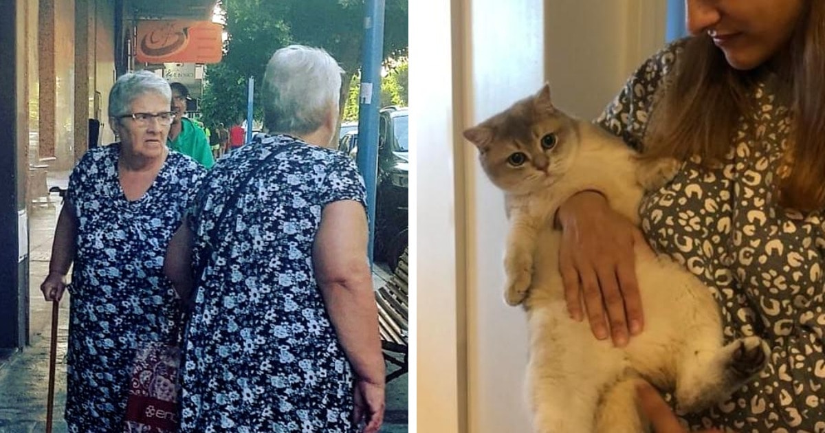 матрица проявила себя