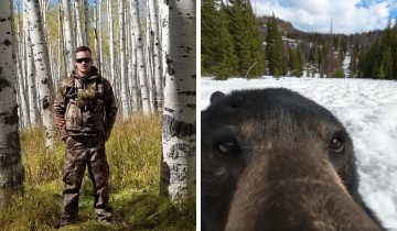 Потерянная камера в лесу