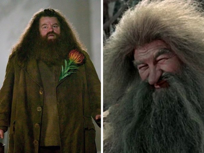 17 персонажей «Гарри Поттера»