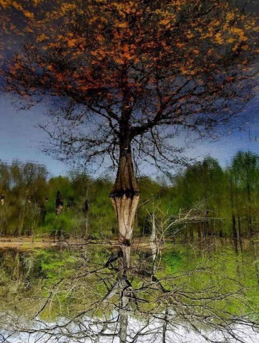 волшебные ракурсы