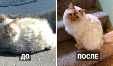 Домашний уют преображает