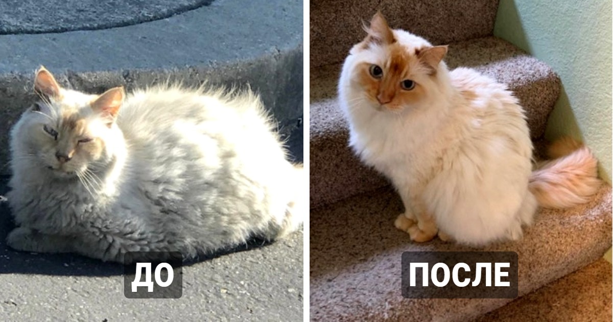 Домашний уют преображает
