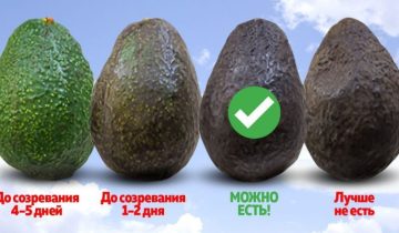 дозреть авокадо