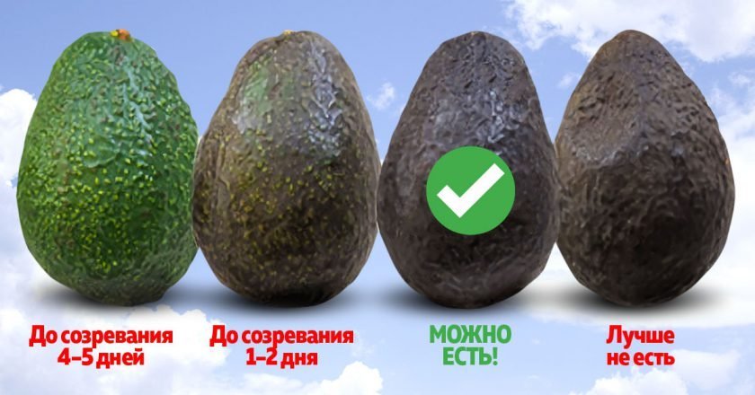 дозреть авокадо
