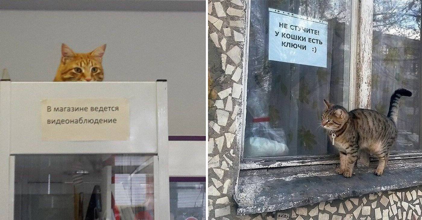 Обычные надписи