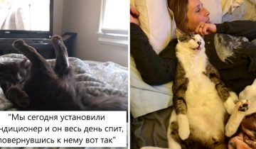 даже во время сна