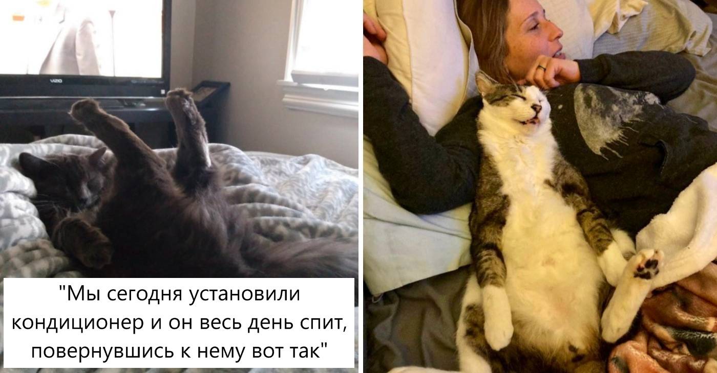 даже во время сна