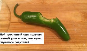 Родители схватились за сердце