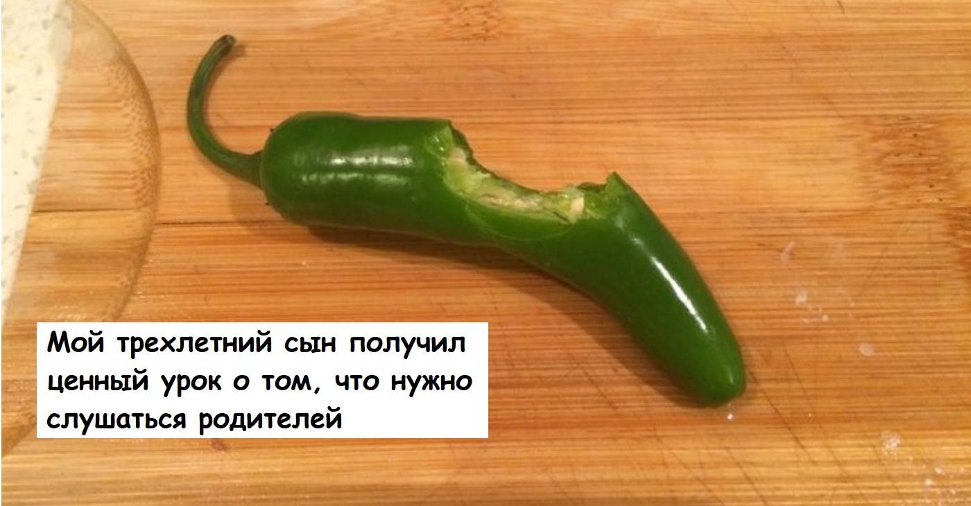 Родители схватились за сердце