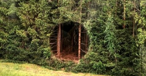 Портал в лесу