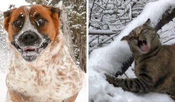 Особое отношение к снегу