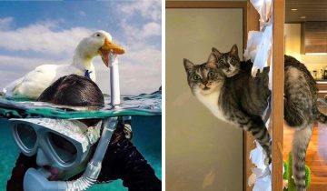 приключения у них в крови