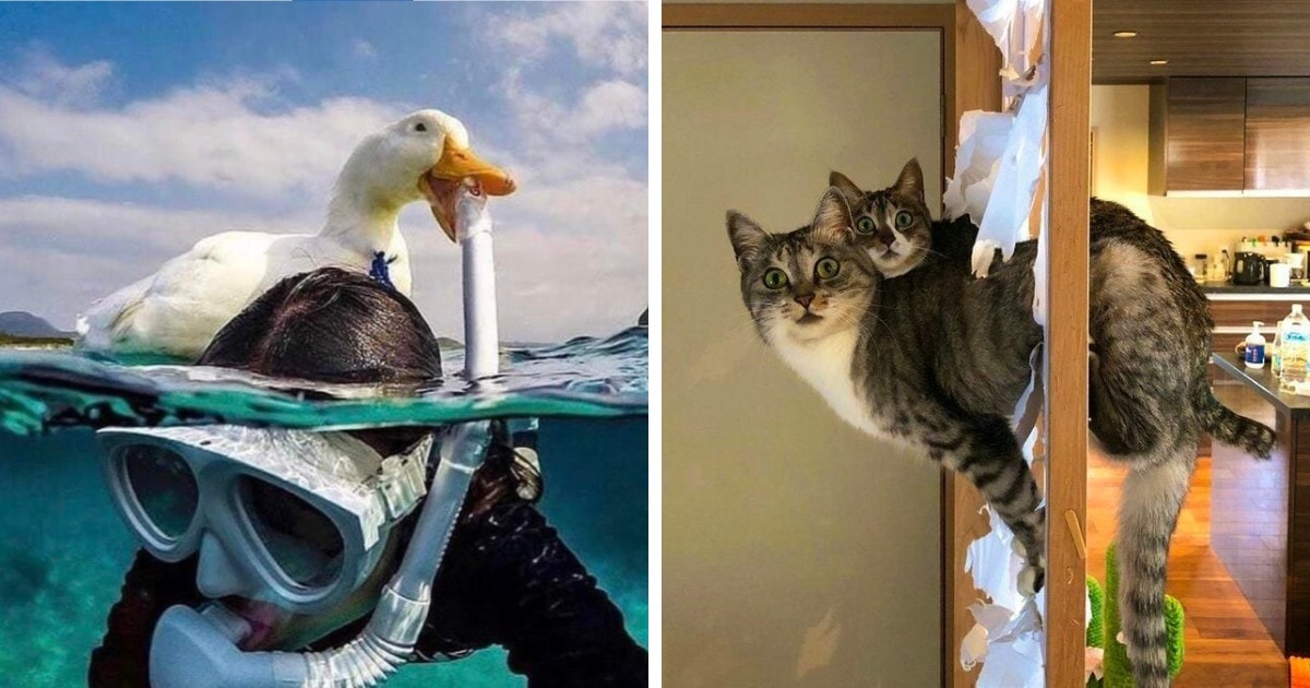 приключения у них в крови
