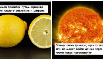 кажутся ненастоящими