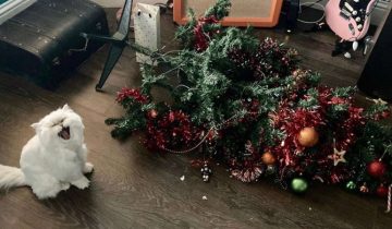 не любят Новый год