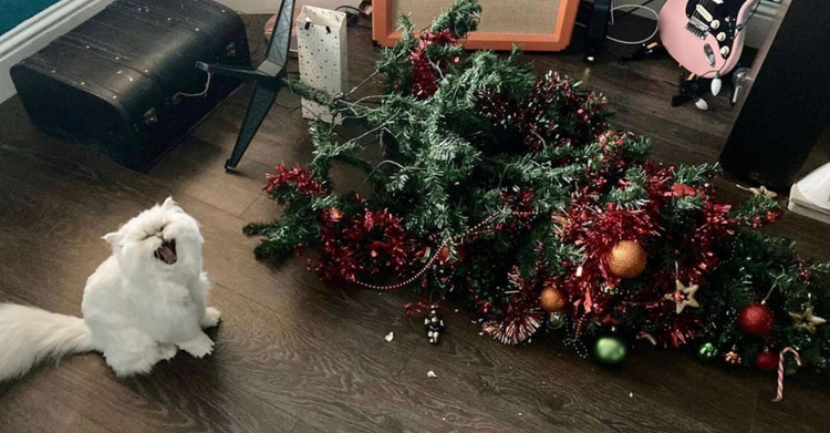 не любят Новый год