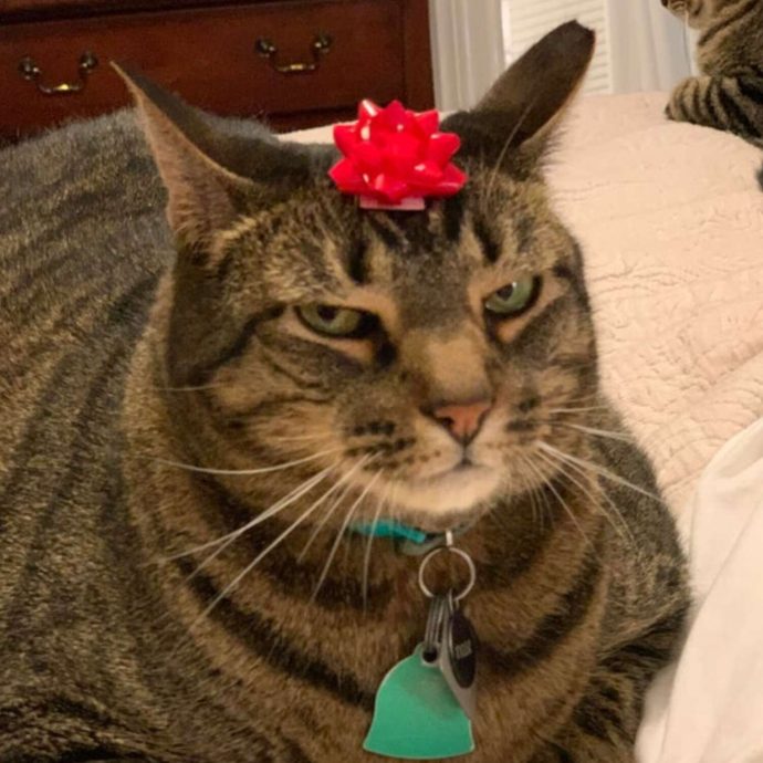 не любят Новый год