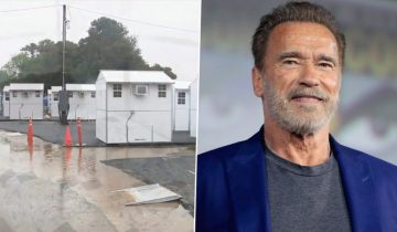 Арнольд Шварценеггер подарил домики
