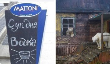 угадаешь страну