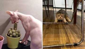 получат жизненный урок