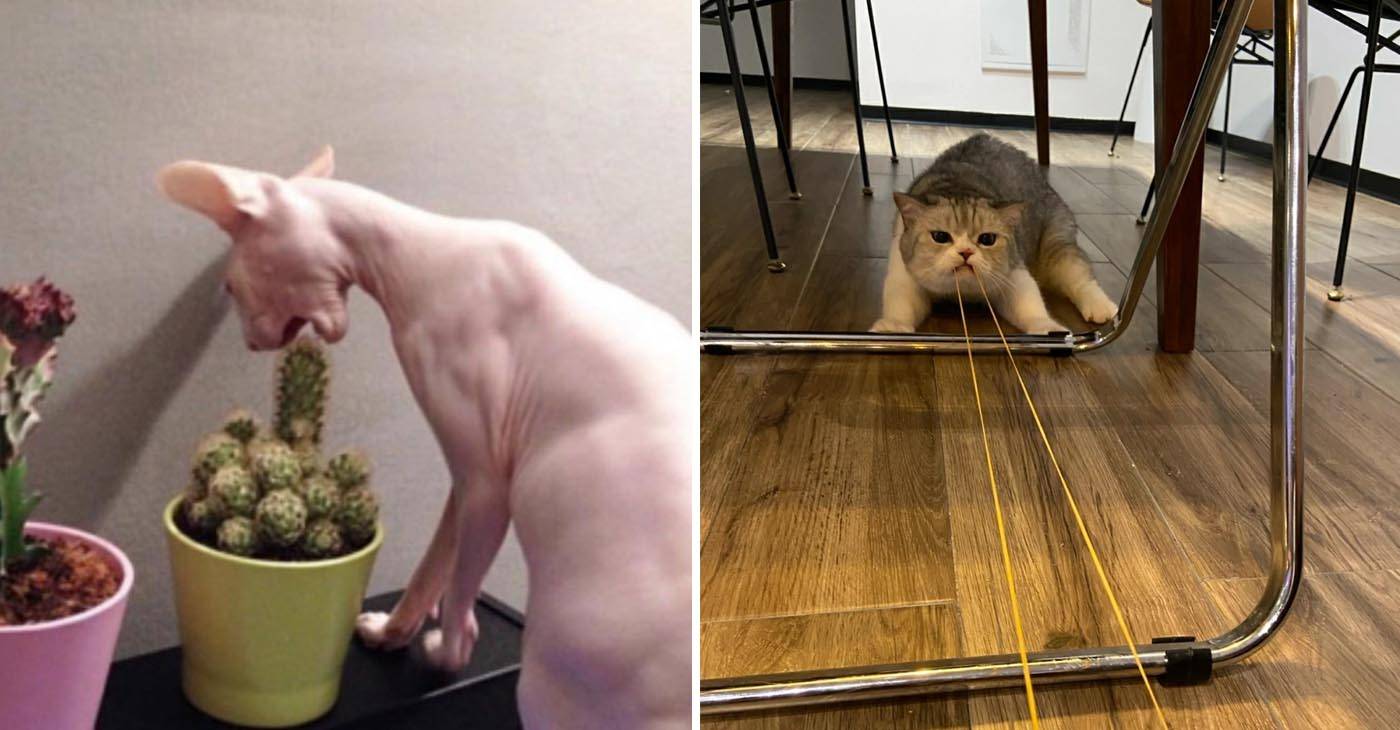 получат жизненный урок